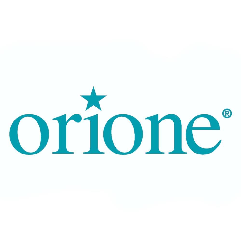 12_ rivenditore calzature orione logo