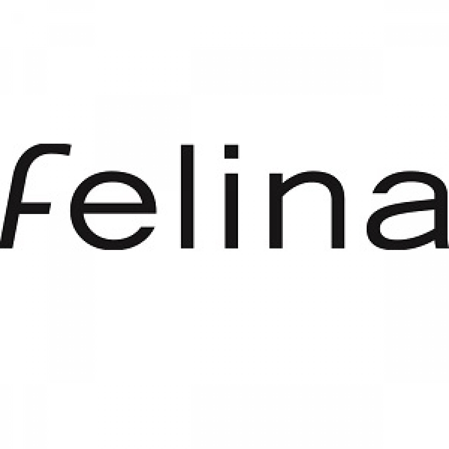Elettromedicali e Articoli Sanitari 15 12_ rivenditore felina reggiseni logo