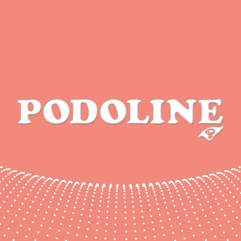 5_ rivenditore calzature podoline logo